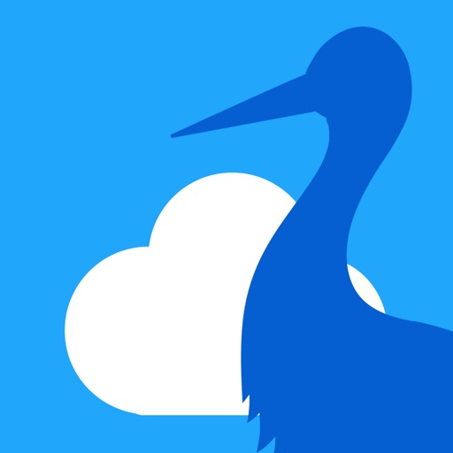 Competing baby name app icon